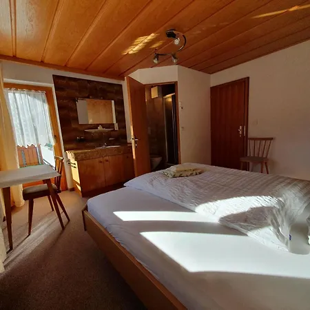 Haus Salzmann Apartment