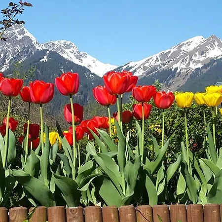 Haus Salzmann